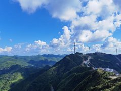 沉庆：“智融惠畅”牵引 加速扶植西部金