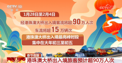 <strong>人流车流立异高 外贸新业态成长迅猛 港</strong>
